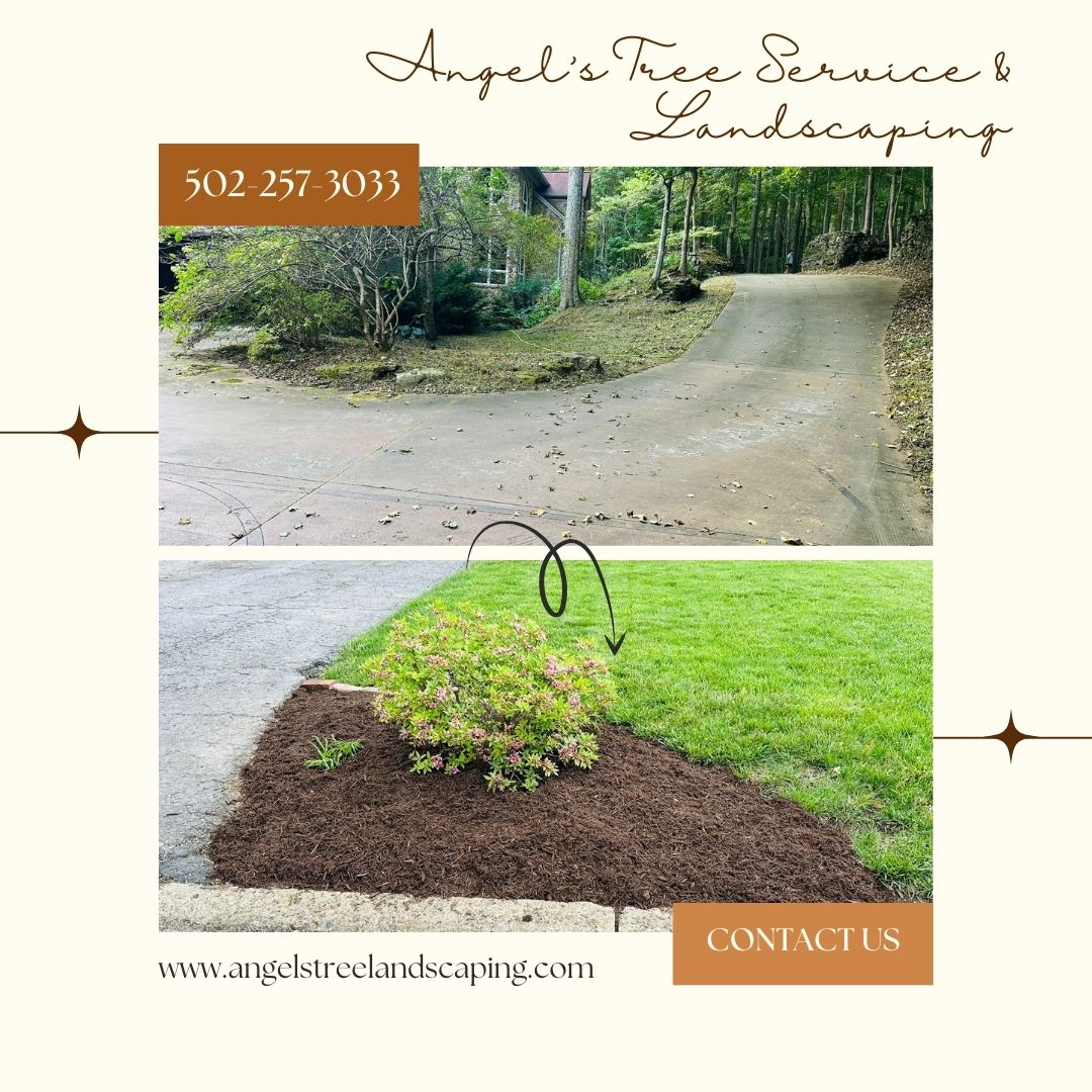 Angel's Tree Service & Landscaping Image